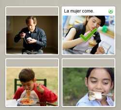 Screenshot Rosetta Stone