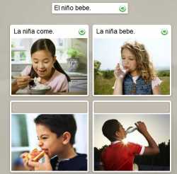 Screenshot Rosetta Stone